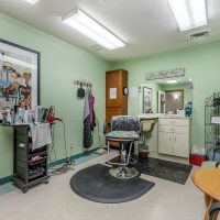 Navion of Shelby - Salon